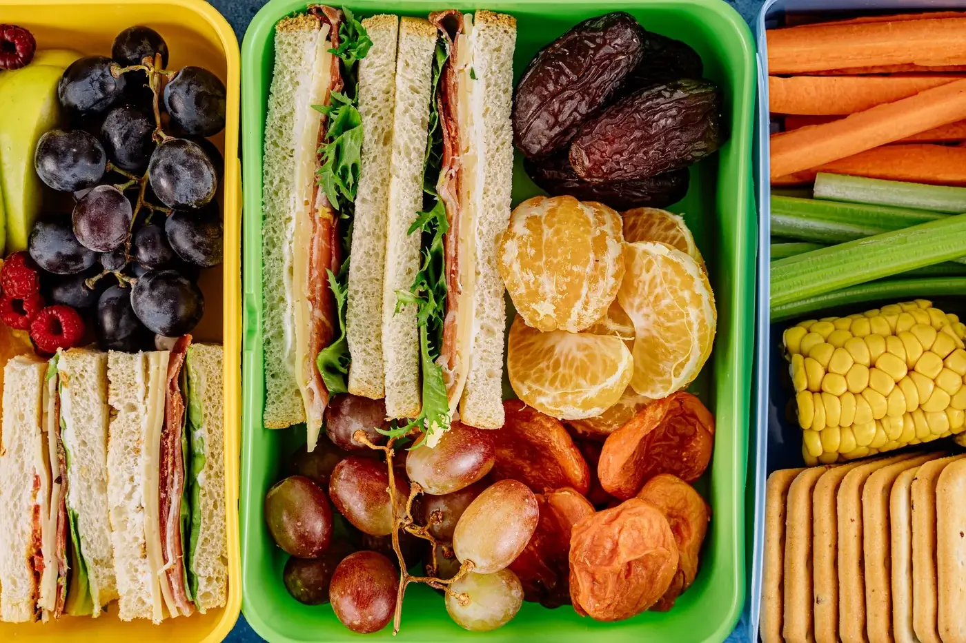 Lunchbox colorée avec sandwichs, raisins, clémentines, dattes et crudités